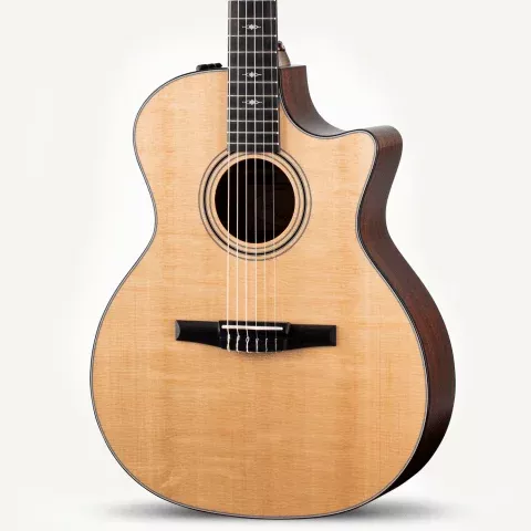314ce-N Acoustic Guitar