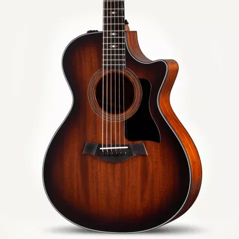 322ce Acoustic Guitar
