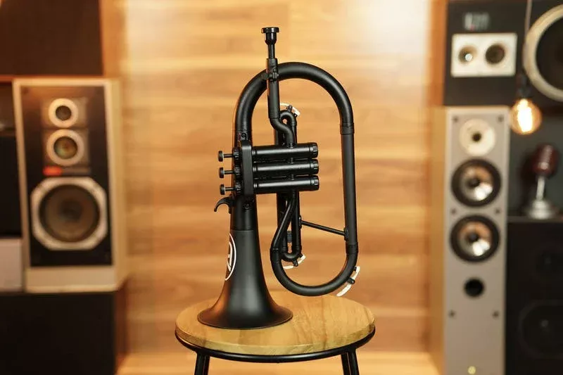 Zo Plastic Flugelhorn – Empire Black
